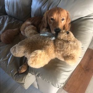 Meet your Posher, Devin